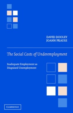 Social Costs of Underemployment