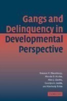 Gangs and Delinquency in Developmental Perspective