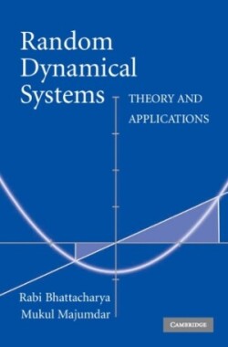 Random Dynamical Systems