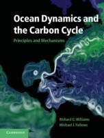 Ocean Dynamics and the Carbon Cycle