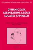 Dynamic Data Assimilation