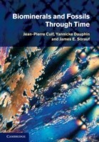 Biominerals and Fossils Through Time