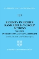 Rigidity in Higher Rank Abelian Group Actions: Volume 1, Introduction and Cocycle Problem