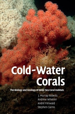 Cold-Water Corals