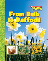 From Bulb to Daffodil (Scholastic News Nonfiction Readers: How Things Grow)