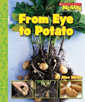 From Eye to Potato (Scholastic News Nonfiction Readers: How Things Grow)