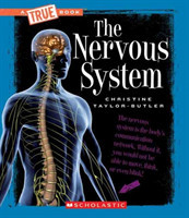 Nervous System (A True Book: Health and the Human Body)