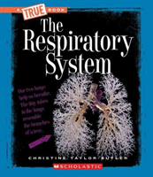 Respiratory System (A True Book: Health and the Human Body)