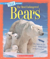Bears (A True Book: The Most Endangered)