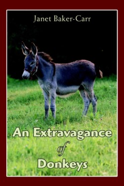 Extravagance of Donkeys