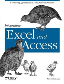 Integrating Excel and Access