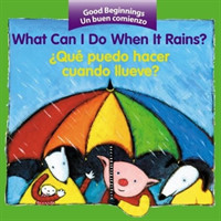 What Can I Do When It Rains? /  Que puedo hacer cuando llueve?