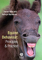 Equine Behaviour