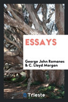 Essays