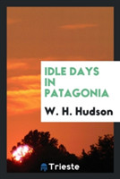 Idle Days in Patagonia