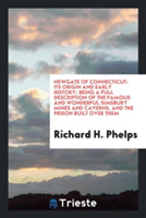 Newgate of Connecticut