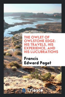 Owlet of Owlstone Edge