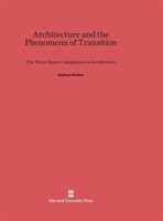 Architecture and the Phenomena of Transition
