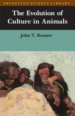 Evolution of Culture in Animals