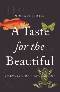 Taste for the Beautiful