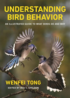 Understanding Bird Behavior