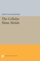 Cellular Slime Molds