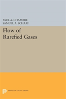 Flow of Rarefied Gases