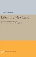 Labor in a New Land