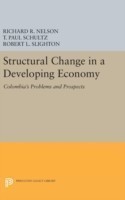 Structural Change in a Developing Economy