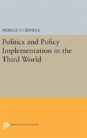 Politics and Policy Implementation in the Third World