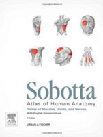 Sobotta Tables of Muscles, Joints and Nerves, English