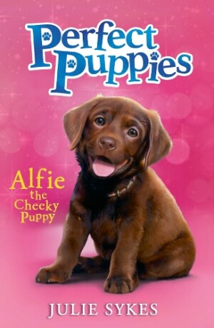 Perfect Puppies Book 1