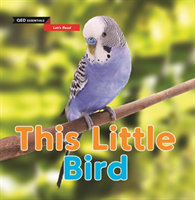 Let's Read: This Little Bird