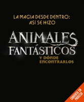 magia desde dentro: asi se hizo Animales fantasticos y donde encontrarlos