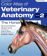 Color Atlas of Veterinary Anatomy - Vol 2 (Horse)