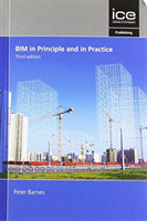 BIM in Principle and in Practice