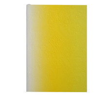 Christian Lacroix Neon Yellow A5 6" X 8" Ombre Paseo Notebook