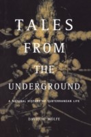 Tales From The Underground