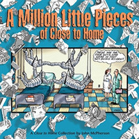 Million Little Pieces of Close to Home