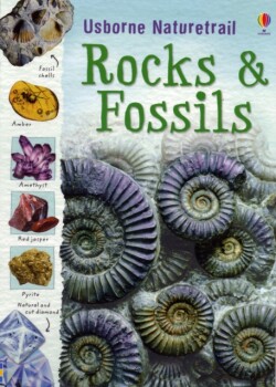 Rocks and Fossils