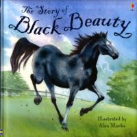 Story of Black Beauty