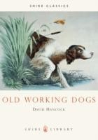 Old Working Dogs