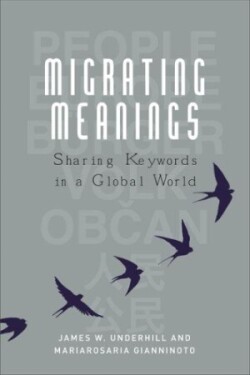 Migrating Meanings Sharing Keywords in a Global World