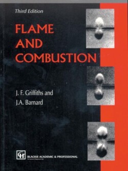 Flame and Combustion