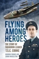 Flying Among Heroes