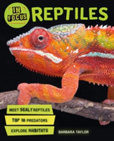 In Focus: Reptiles