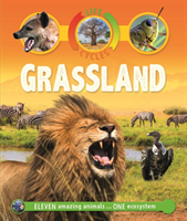 LIFE CYCLES GRASSLAND