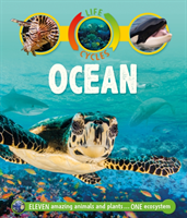 LIFE CYCLES OCEAN