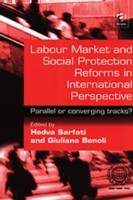 Labour Market and Social Protection Reforms in International Perspective