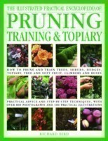 Illustrated Practical Encyclopedia of Pruning, Training and Topiary